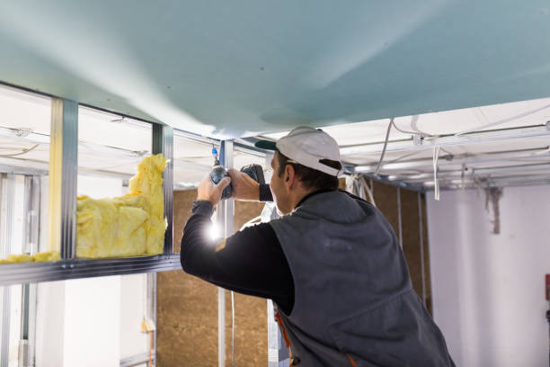 Best Energy Efficiency Insulation in Cadott, WI