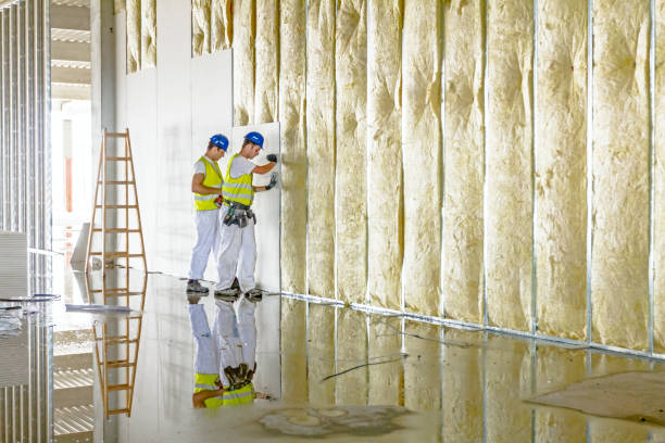 Best Fiberglass Insulation in Cadott, WI